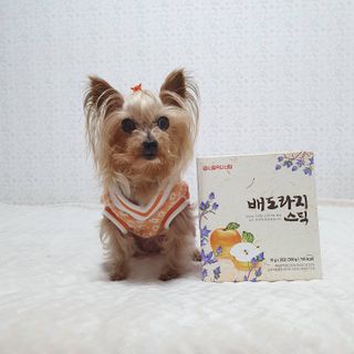 솜희님이 올린 리뷰 사진 3