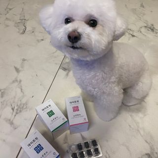 두또먹님이 올린 리뷰 사진 3