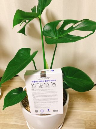 닥터마시멜로 닥터마스멜로 마블러스 아쿠아 클리닉 마스크 — 5점을 준 리뷰어가 2021년 6월 올린 사용 사진