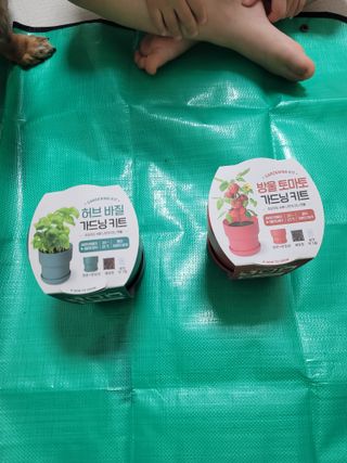 llalla님이 올린 리뷰 사진 1