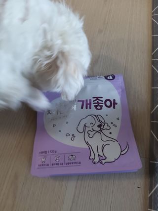 My Pet Care 천연단백질 치아건강에 개좋아 — 5점을 준 리뷰어가 2021년 1월 올린 사용 사진