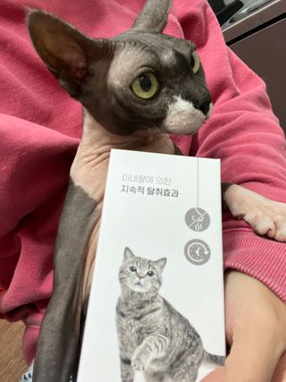 Dobby님이 올린 리뷰 사진 2