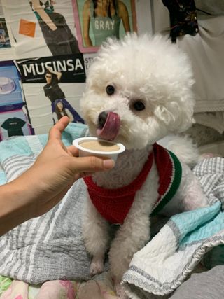 빙빙이님이 올린 리뷰 사진 2