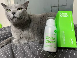 whol 키토클린 200ml - 항균항바이러스 강아지 눈 코 입 귀 세정탈취 고양이 턱드름제거 무향 워터리스 대용량 — 5점을 준 리뷰어가 2023년 2월 올린 사용 사진