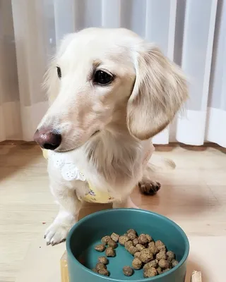 PDKIM님이 올린 리뷰 사진 3