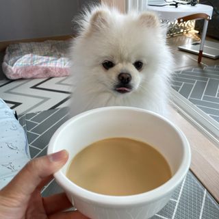 단미콘님이 올린 리뷰 사진 2