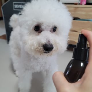❤꼬네우니🧡님이 올린 리뷰 사진 4