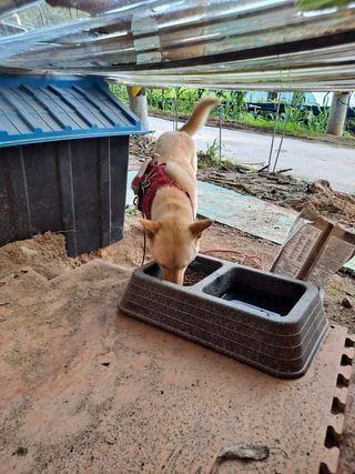 천도님이 올린 리뷰 사진 1