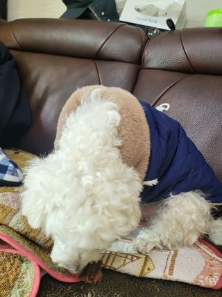 햄님이 올린 리뷰 사진 3