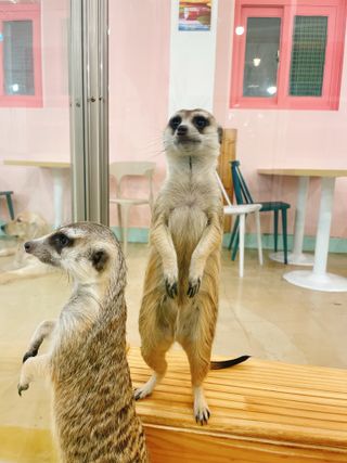 연쨩님이 올린 리뷰 사진 2
