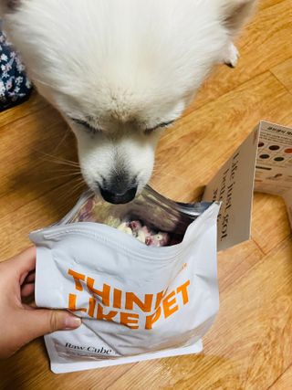 진진님이 올린 리뷰 사진 2