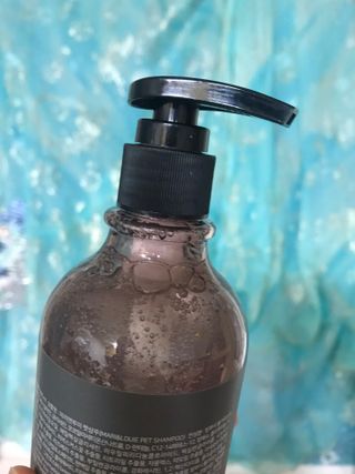 마리앤루이펫샴푸 [mari and louie pet shampoo] — 5점을 준 리뷰어가 2021년 5월 올린 사용 사진