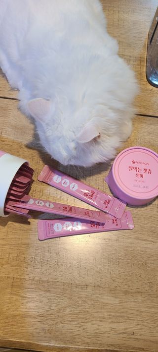 페페로니 잘 먹는 캣츄 - 알래스카 연어 24개입 — 5점을 준 리뷰어가 2021년 7월 올린 사용 사진