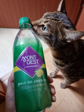 몽베스트 Montbest with Sparkling water Lemon OR Lime 20병(랜덤) — 5점을 준 리뷰어가 2021년 10월 올린 사용 사진