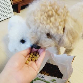 또롱님이 올린 리뷰 사진 3