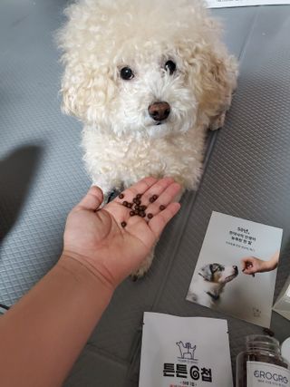 모모맘님이 올린 리뷰 사진 2