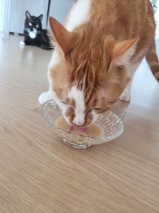 으나님이 올린 리뷰 사진 3