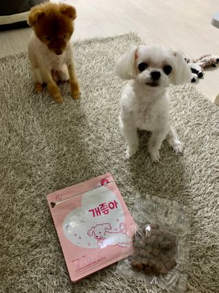 My Pet Care 천연단백질 관절건강에 개좋아 — 5점을 준 리뷰어가 2021년 2월 올린 사용 사진
