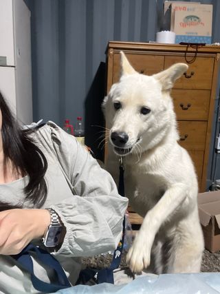 밤비짱님이 올린 리뷰 사진 3