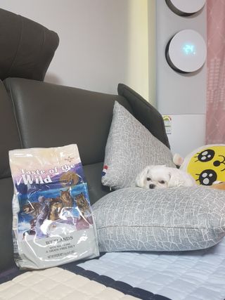 김고양이님이 올린 리뷰 사진 2