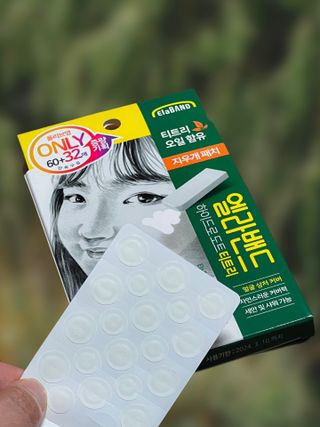 수피님이 올린 리뷰 사진 2
