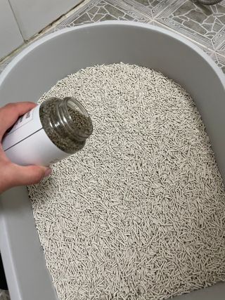서벙님이 올린 리뷰 사진 4