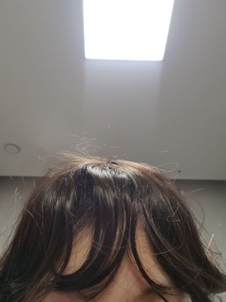 펭수님이 올린 리뷰 사진 1