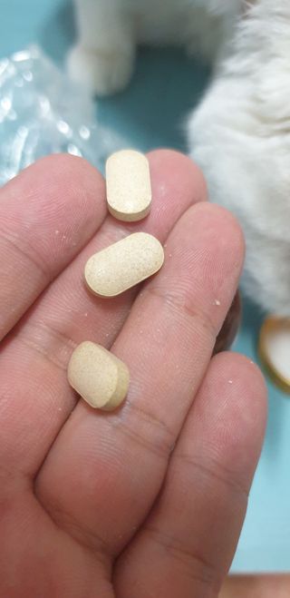 일편강심 여주정,마카정,새싹보리정,보스웰리아정,저분자콜라겐 — 5점을 준 리뷰어가 2021년 7월 올린 사용 사진