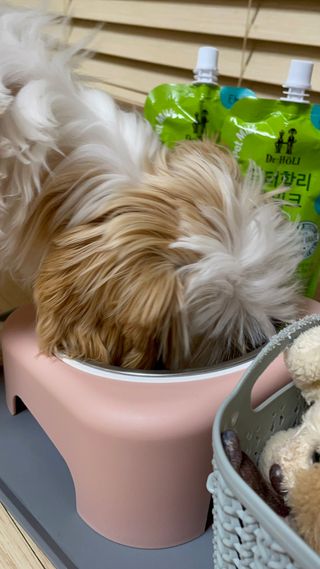 원땡잉님이 올린 리뷰 사진 4