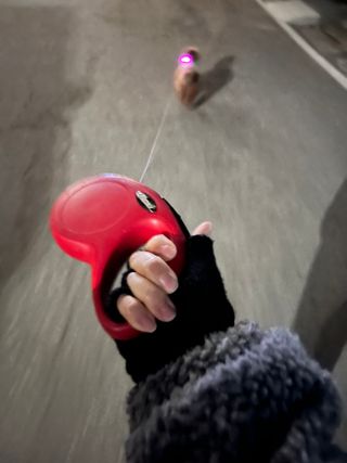 문달콩누나님이 올린 리뷰 사진 2