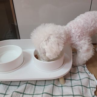 스피님이 올린 리뷰 사진 4
