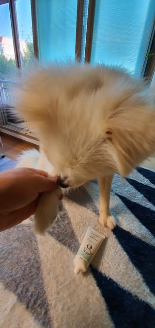 주여니이님이 올린 리뷰 사진 4