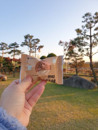 롯데제과 쁘띠몽쉘 마롱몽블랑 — 4점을 준 리뷰어가 2021년 11월 올린 사용 사진