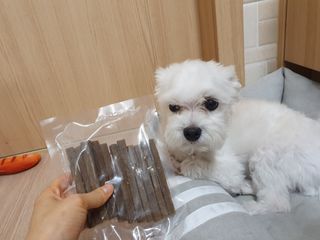 My Pet Care 천연단백질 치아건강에 개좋아 — 5점을 준 리뷰어가 2021년 1월 올린 사용 사진