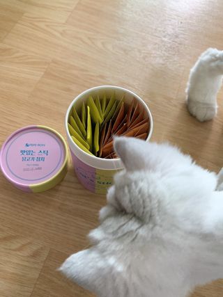 페페로니 맛있는 스틱 - 무항생제 닭고기 15개 + 원양선 참치 15개 — 4.5점을 준 리뷰어가 2021년 8월 올린 사용 사진
