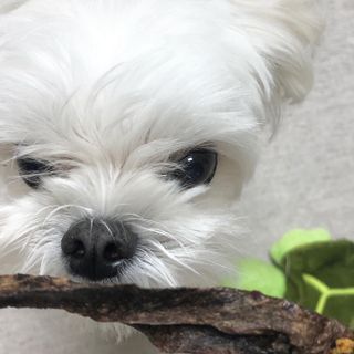 torius님이 올린 리뷰 사진 3