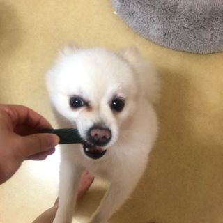 여름님이 올린 리뷰 사진 3