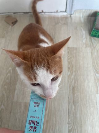 pingping2님이 올린 리뷰 사진 3