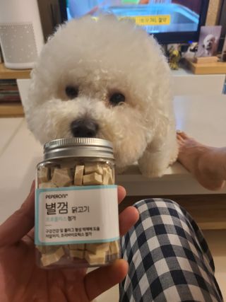 페페로니 자기전에 먹는 저알러지 껌 세트 치킨+오리 — 5점을 준 리뷰어가 2021년 7월 올린 사용 사진