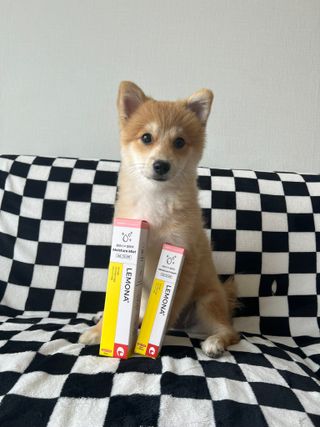 김연탄님이 올린 리뷰 사진 1