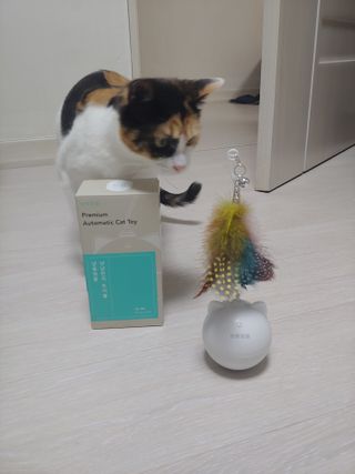 홍제이님이 올린 리뷰 사진 1