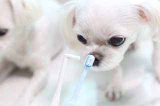 희온느님이 올린 리뷰 사진 3