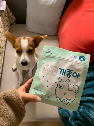 My Pet Care 천연단백질 눈건강에 개좋아 — 4점을 준 리뷰어가 2021년 1월 올린 사용 사진