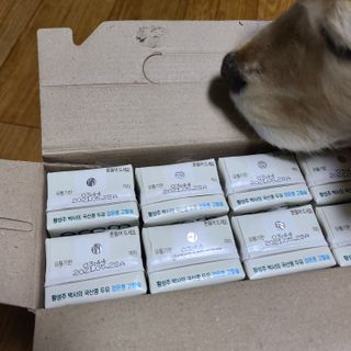 이롬 erom 황성주박사의 국산콩 두유 검은콩 고칼슘 — 5점을 준 리뷰어가 2020년 12월 올린 사용 사진