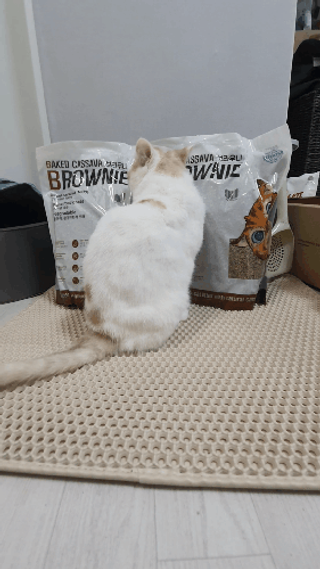 으나님이 올린 리뷰 사진 3