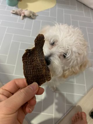 댑빵이님이 올린 리뷰 사진 3