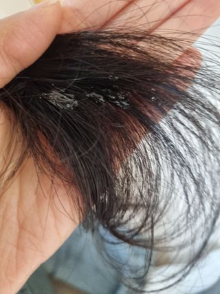 풀빛사랑님이 올린 리뷰 사진 4