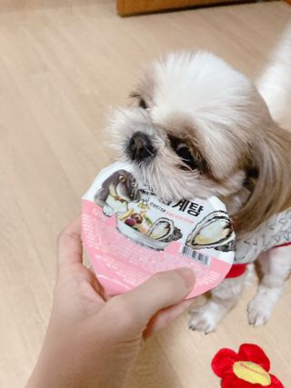 박하님이 올린 리뷰 사진 2