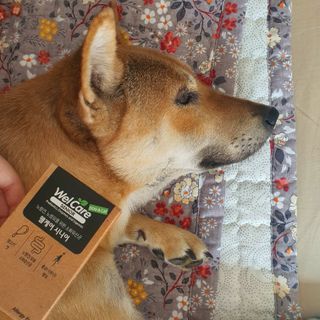 루비님이 올린 리뷰 사진 2