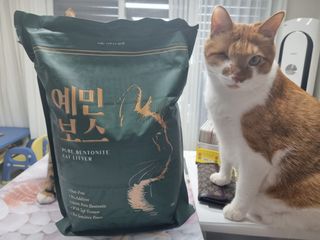 오나오나님이 올린 리뷰 사진 3
